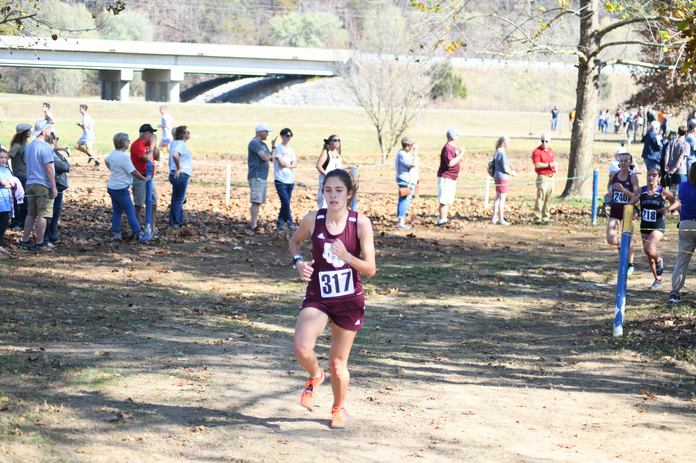 Lady Lion runners end MSC Championship in 8th